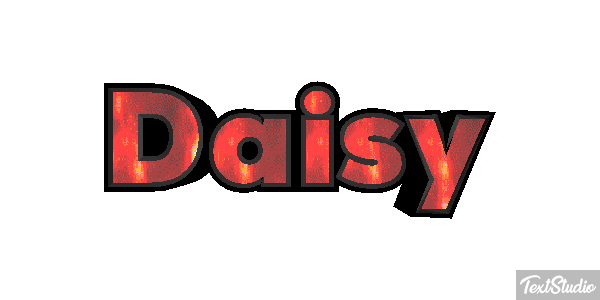 Daisy Text effect