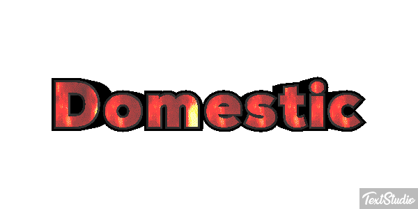 Domestic テキスト効果