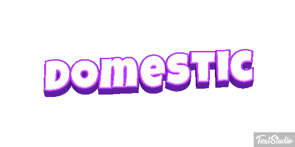 Domestic テキスト効果