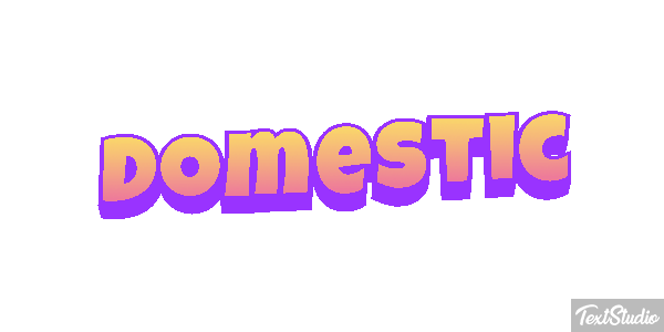 Domestic テキスト効果