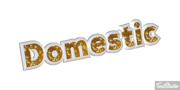 Domestic テキスト効果