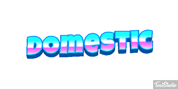 Domestic テキスト効果