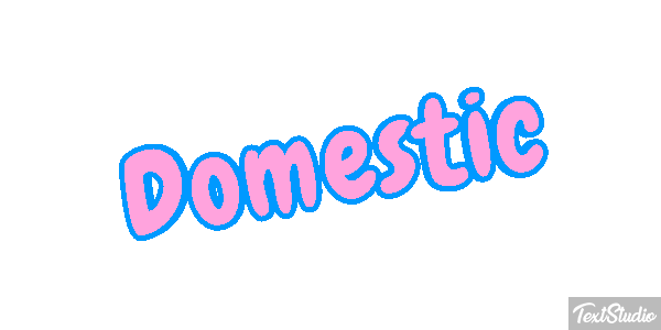 Domestic テキスト効果