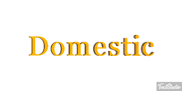 Domestic テキスト効果