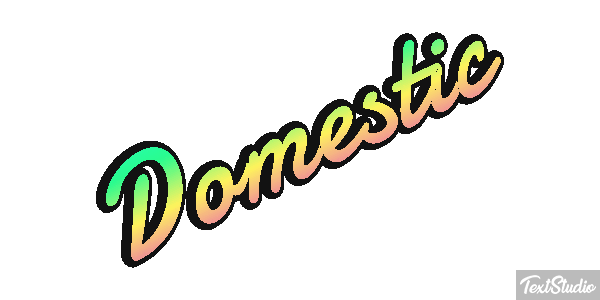 Domestic テキスト効果
