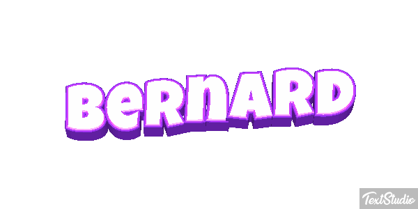 Bernard Effet de texte