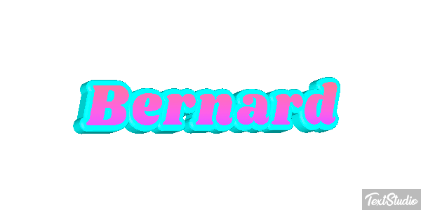 Bernard Effet de texte