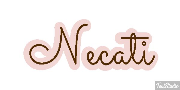 Necati Metin efekti