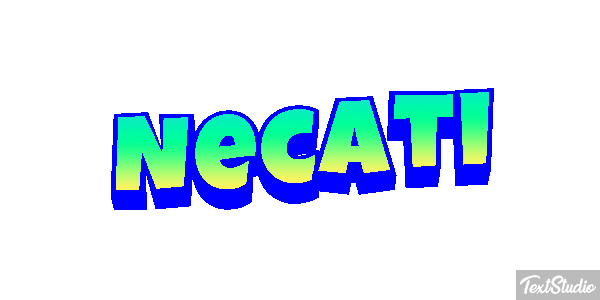 Necati Metin efekti