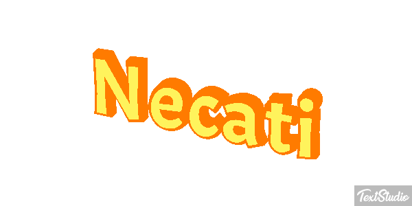 Necati Metin efekti
