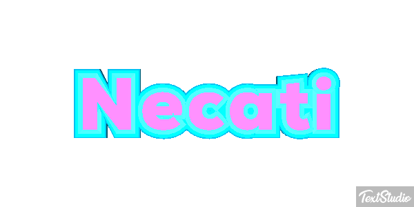 Necati Metin efekti