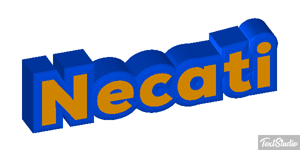 Necati Metin efekti