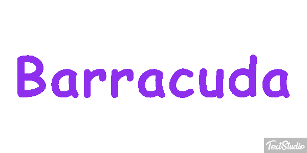 Barracuda Efecto de texto