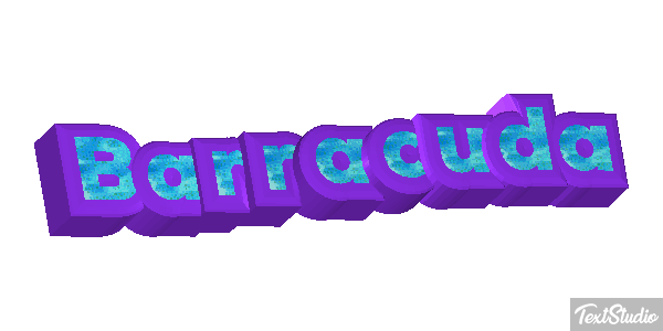 Barracuda Efecto de texto
