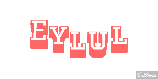Eylül Metin efekti