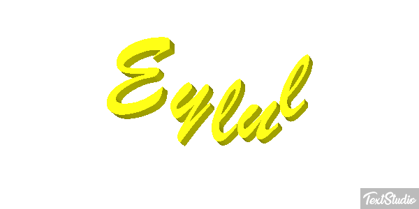Eylül Metin efekti
