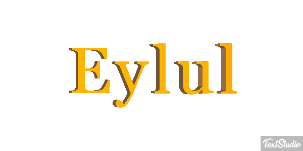 Eylül Metin efekti