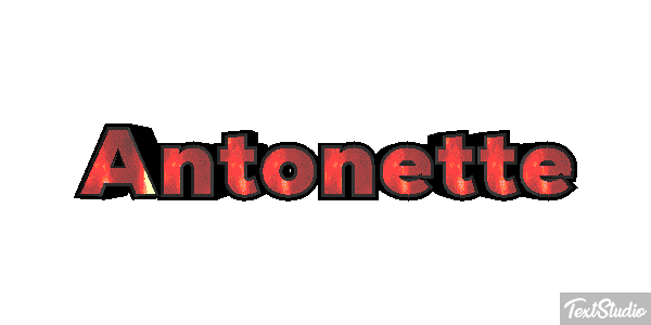 Antonette Effetto testo