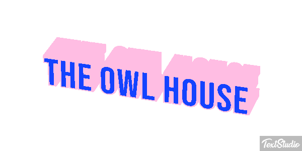 The Owl House Efeito do texto
