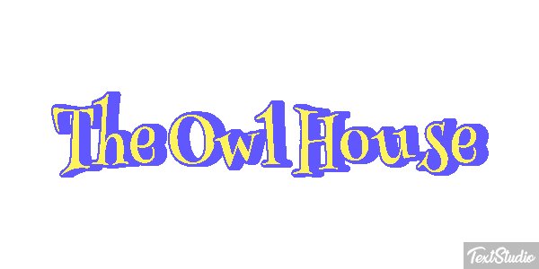 The Owl House Efeito do texto