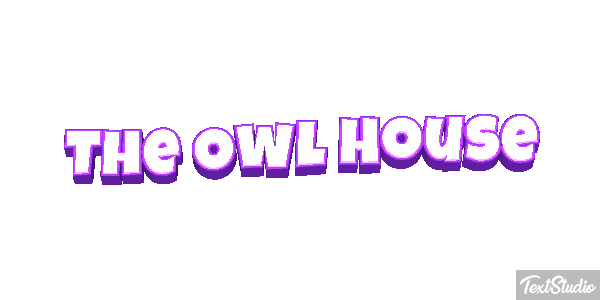 The Owl House Efeito do texto