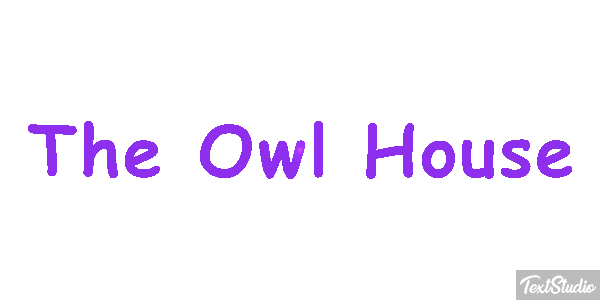 The Owl House Efeito do texto
