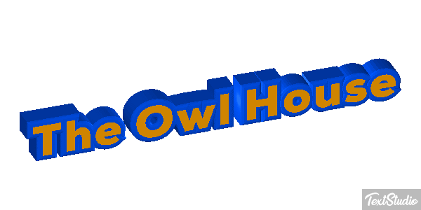 The Owl House Efeito do texto