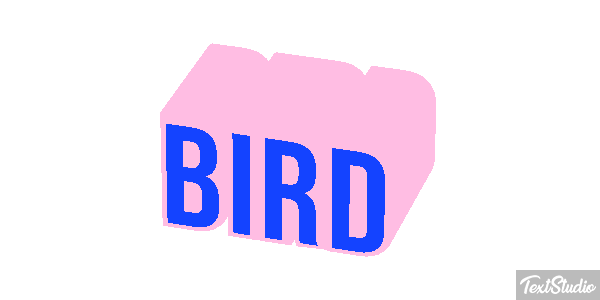 Bird Efecto de texto
