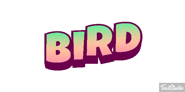 Bird Efecto de texto