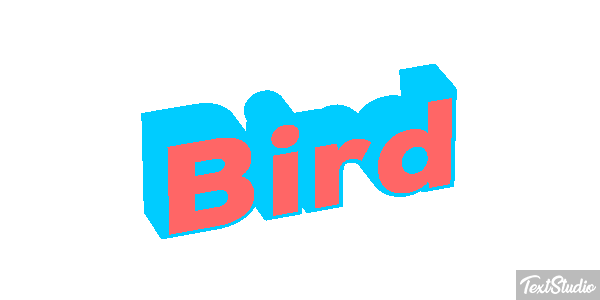 Bird Efecto de texto