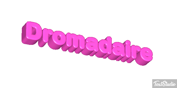 Dromadaire テキスト効果