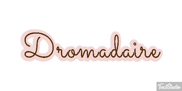 Dromadaire テキスト効果