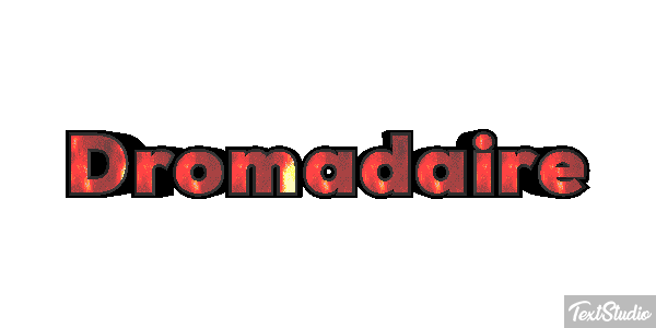 Dromadaire テキスト効果