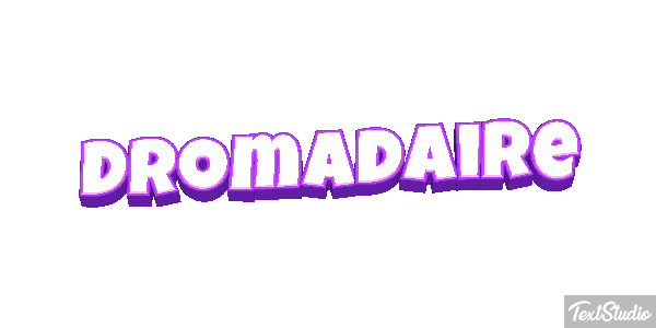 Dromadaire テキスト効果