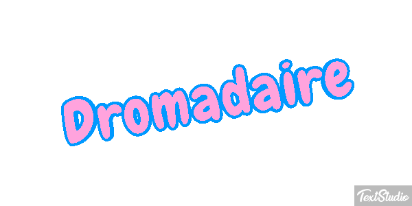 Dromadaire テキスト効果