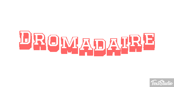 Dromadaire テキスト効果