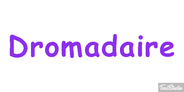 Dromadaire テキスト効果