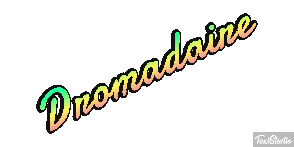 Dromadaire テキスト効果
