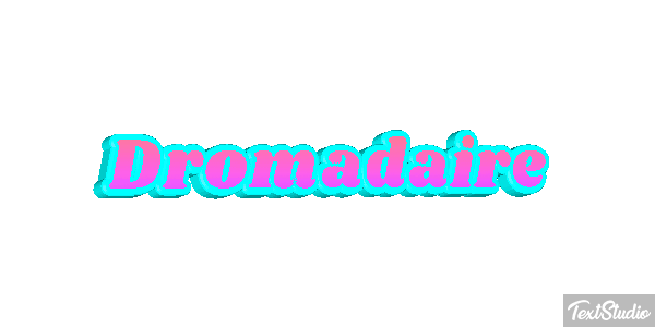 Dromadaire テキスト効果