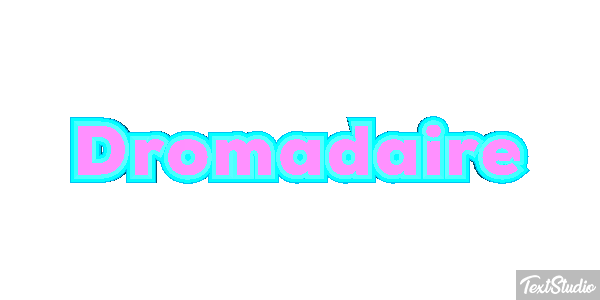 Dromadaire テキスト効果