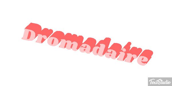 Dromadaire テキスト効果
