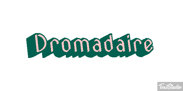 Dromadaire テキスト効果