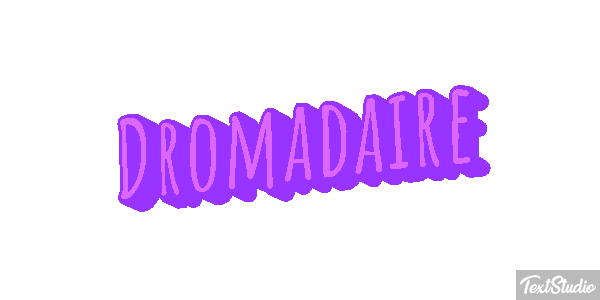 Dromadaire テキスト効果