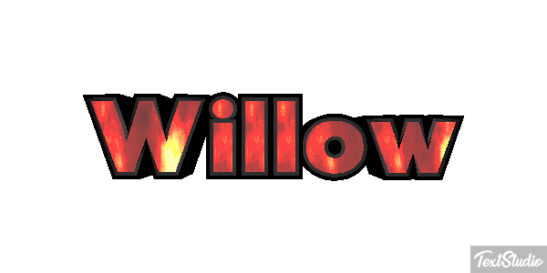 Willow Metin efekti