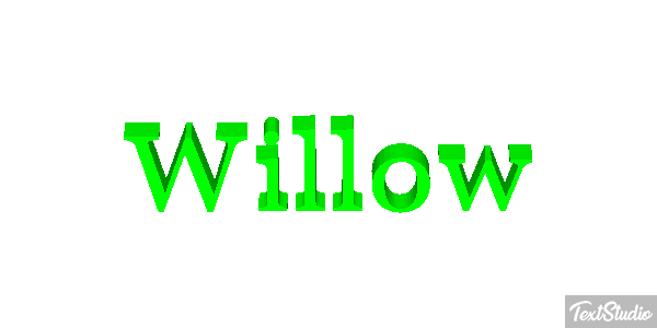 Willow Metin efekti