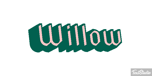 Willow Metin efekti