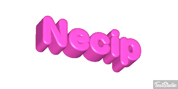 Necip Effetto testo