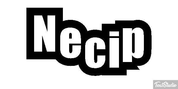 Necip Effetto testo