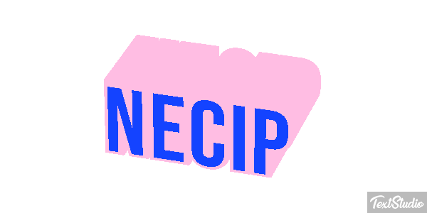 Necip Effetto testo