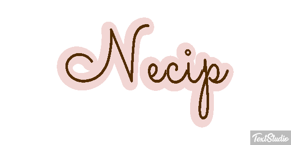 Necip Effetto testo